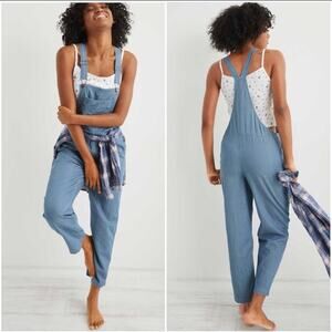 Aerie Railroad Stripe Overalls Blue M